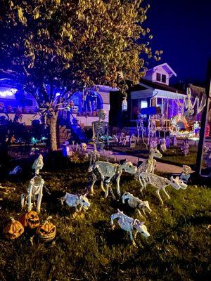 Halloween on Hillcrest