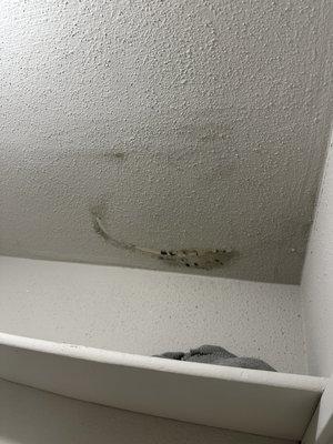 MOLD ON CELING