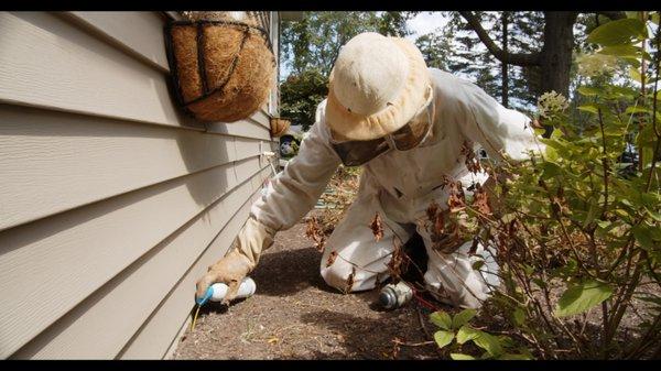 It's also important to gear up for Yellow Jacket Season!