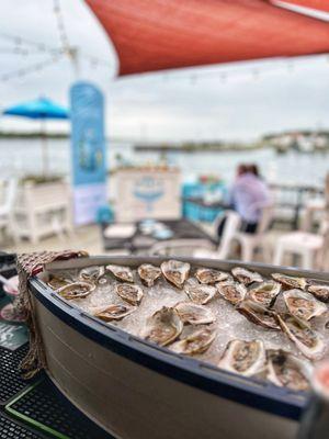 oysters on the halfshell