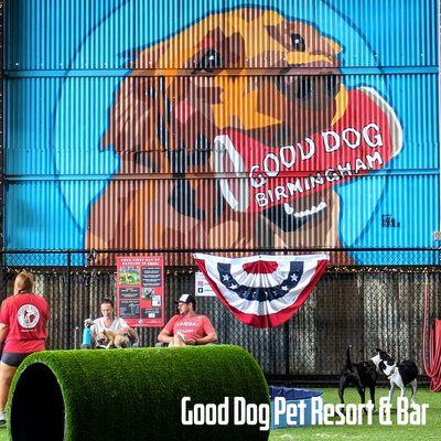 Good Dog Bar and Dog Park