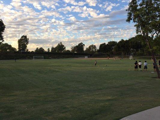 Football field