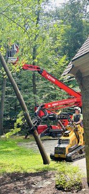 Whole tree rigging to safely bring a tree to the ground utilizing our grappled mini loader.