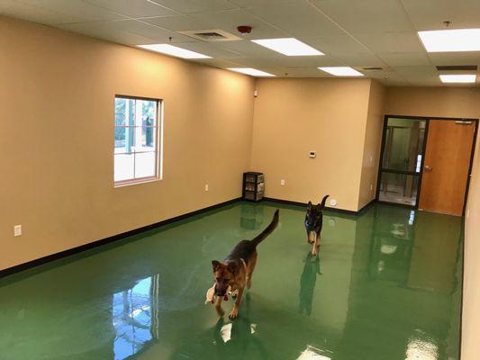 Indoor Playroom