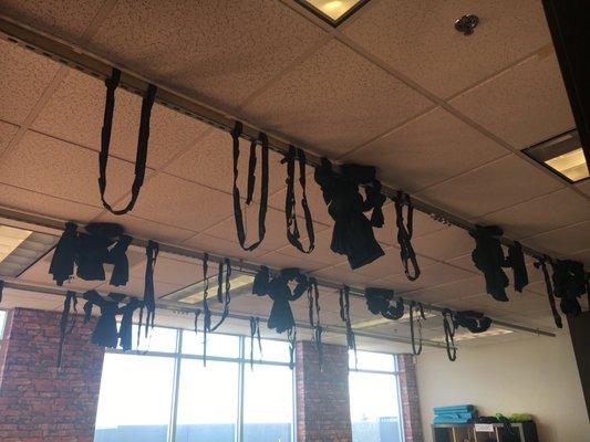 Aerial silks stored above for aerial yoga classes