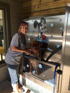 ani and mom enjoying a refreshing bath at the Pirate Coin Dog Wash