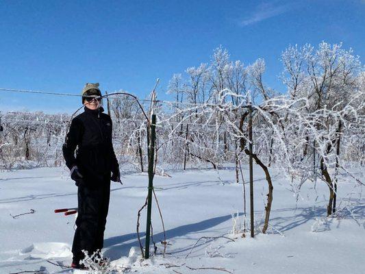 Pruning is a year-round job!