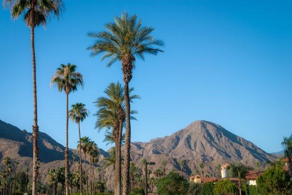 Servicing our homes in the Coachella Valley.