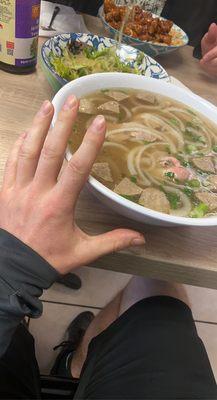 Large house special pho