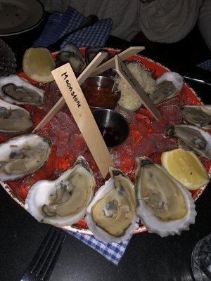 Different types of Oysters, amazing.