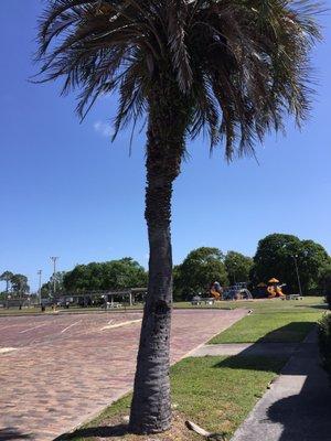 Nice playground and ball field