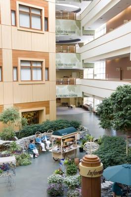 Genesys Regional Medical Center Atrium