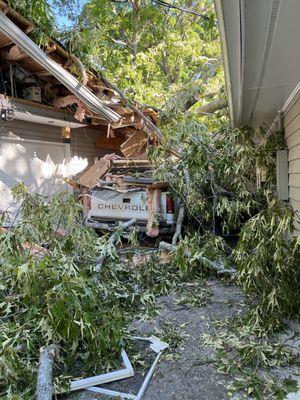 770 Arborist Emergency Tree & Crane Service