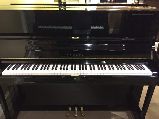 Yamaha U1