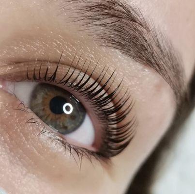 Lash Lift & Tint