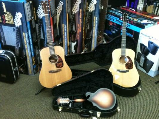 Your Premier Breedlove Dealer in Knoxville!!!