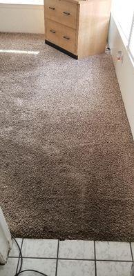 Before Carpet Cleaning