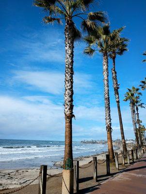 Pacific Beach