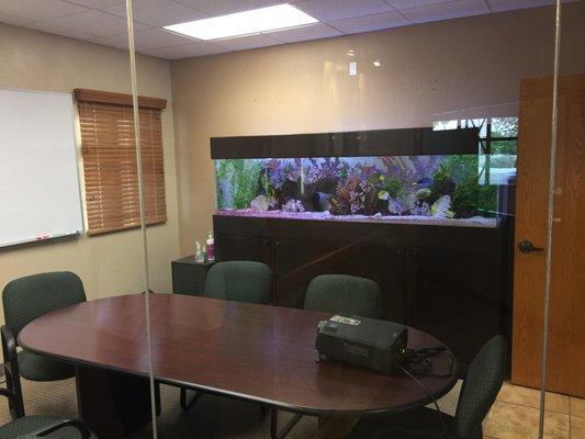 Salt water aquarium in conference room.