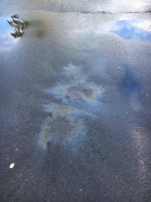 Driveway leak marks when pulling in from the dealer fixing the issue.