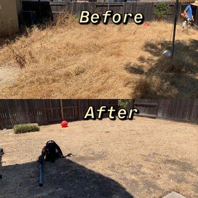 Before and after of a yard clean up