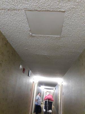 Ceiling in hallway