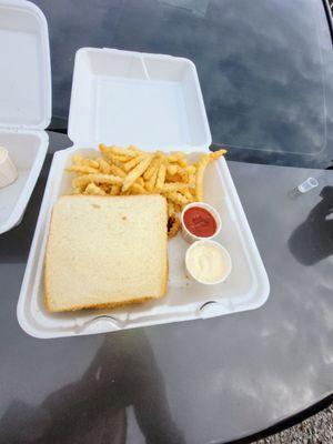 Catfish fillet and fries