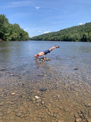 Peacock on the Delaware