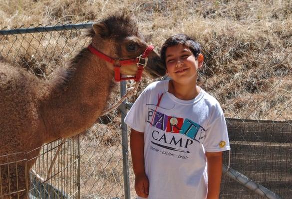 Our amazing Animal workshops are so fun! New animals every single day!