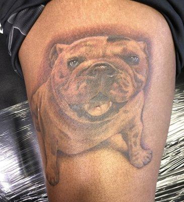 Final image of my furbaby! Would love to add more in the future! Keep in mind...this was my 1st tattoo!!!