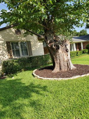 'after' hedges trimmed