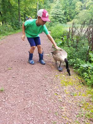 Nice park, friendly fowl, great marina and beautiful lake.