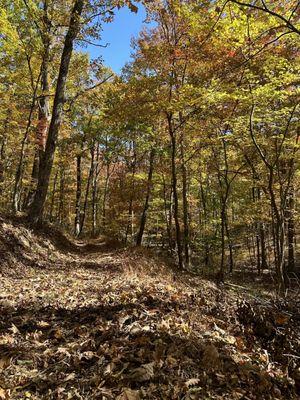 Hiking and mountain biking trails on the property