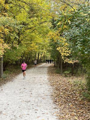 A very well used trail