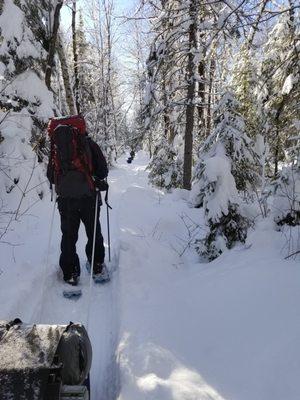 Snowshoeing in to Angleworm Lake pulling a pulk sled with hot tent, wood stove, and other gear.