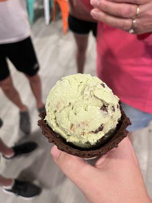 Mint Chocolate Chip in a Chocolate Waffle Cone