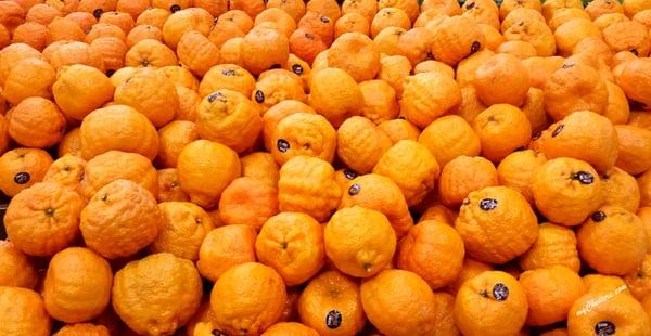 Gold Nugget Mandarin Oranges!