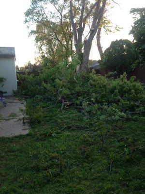 Safety concerns of weakened branches over the house eliminated quickly and safely.