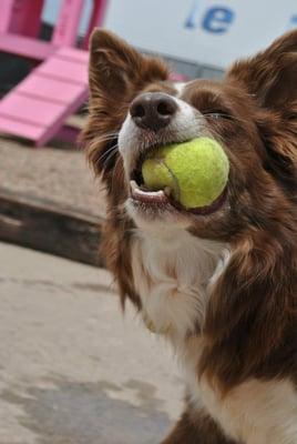 I love playing ball!