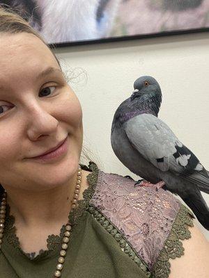 my pet Pigeon Pidgie after seeing Dr.Delaney, he had been very calm and recurved so much relief after seeing her!