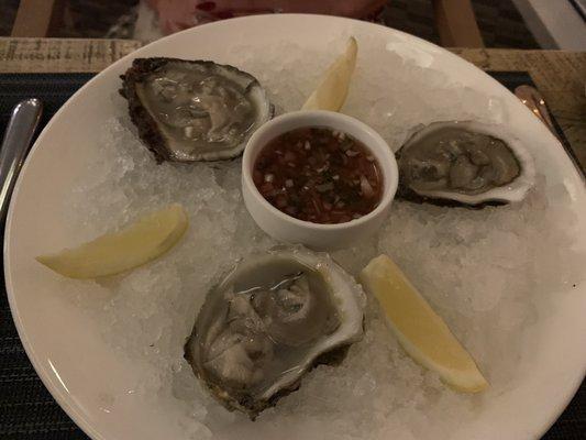 Oyster appetizer