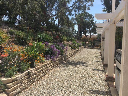 Backyard grass replacement and broken concrete terrace.