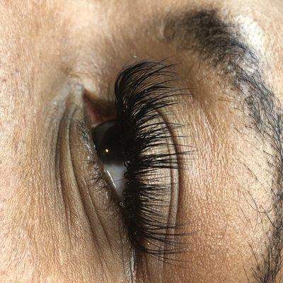 Volume Lash Extension