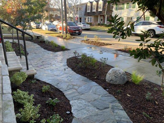 A portion of the new hardscape in yard and parkway