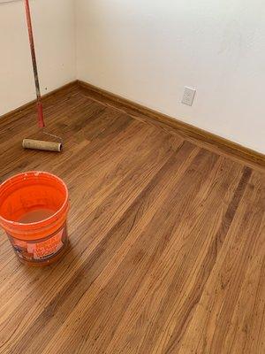 Beautiful stain colored wood floor getting ready to apply eco-friendly water based polyurethaning.