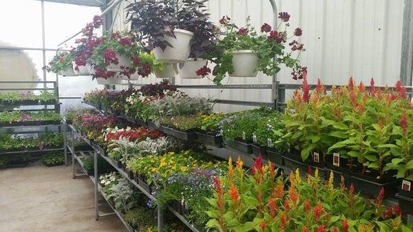 Fresh Flowers and Hand Made Baskets