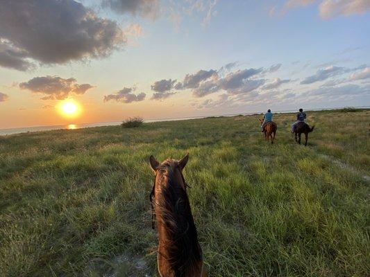 Sunset Horse ride