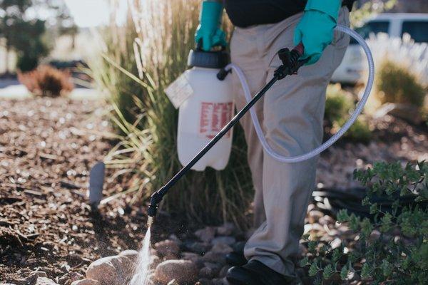 Bed and Border Weed Control