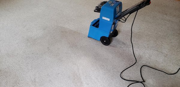 View of the water extraction cleaner ACTUALLY cleaning the carpet - the day AFTER Oxifresh "cleaned" them.