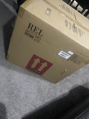 Brand New REL Predator 1508